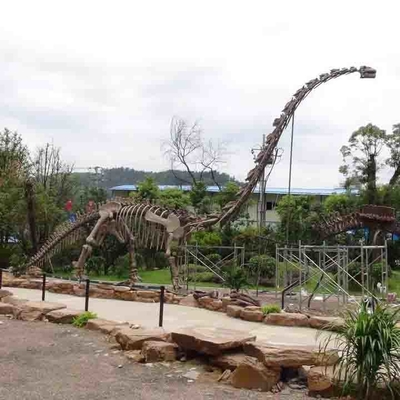 هيكل عظمي كبير للديناصور في الهواء الطلق ، هيكل عظمي نموذج ديناصور مضاد للشمس