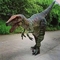 الديناصور الرابتور زي الديناصور الحقيقي للبيع