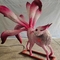 مخلوقات واقعية إلكترونية مصنوعة يدويًا من الأساطير الصينية ثعلب ذو تسعة ذيل