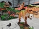 مركز تسوق مخصص لركوب الطول على الديناصور عرض المشي الواقعي