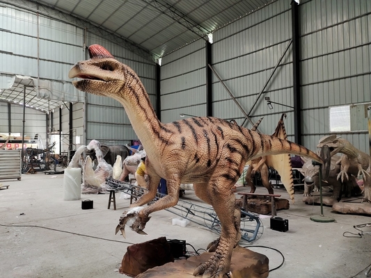 شراء نموذج Parasaurolophus animatronic لمنتزه الدينوس online manufacture