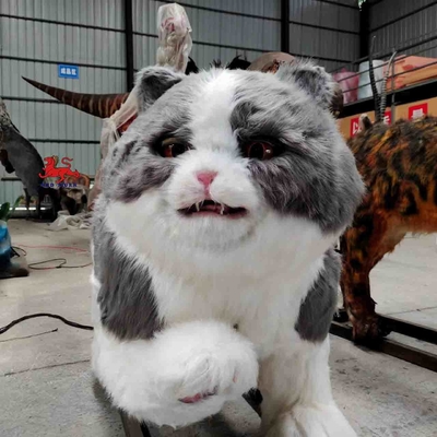 اسم