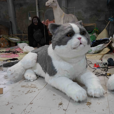 اسم