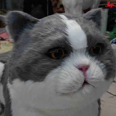 اسم