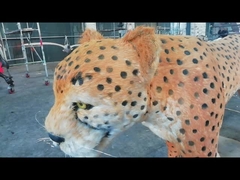 نموذج ديبلودوكس للملاهي ديناصور متحرك نابض بالحياة